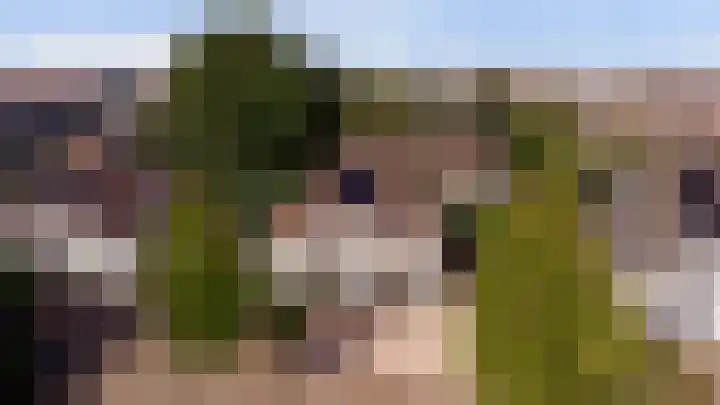 Akelei 47 Tiel thumbnail 61