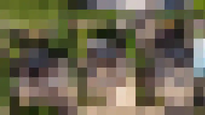 Akelei 47 Tiel thumbnail 62