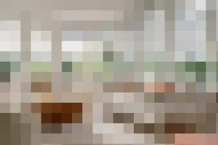Akelei 47 Tiel thumbnail 7