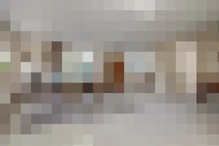 Akelei 47 Tiel thumbnail 8