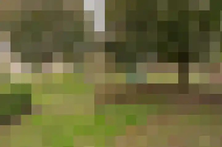 Akelei 48 Culemborg thumbnail 34
