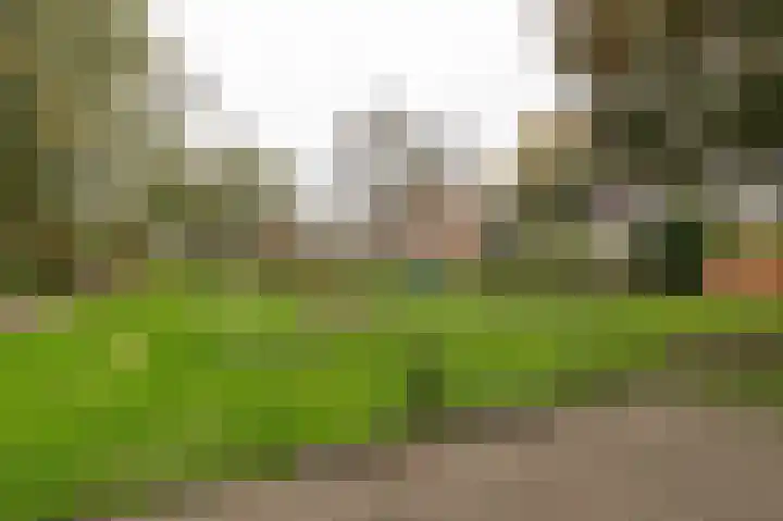Akelei 48 Culemborg thumbnail 35