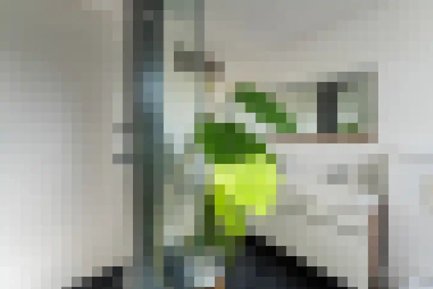 Akelei 53 Kampen thumbnail 36