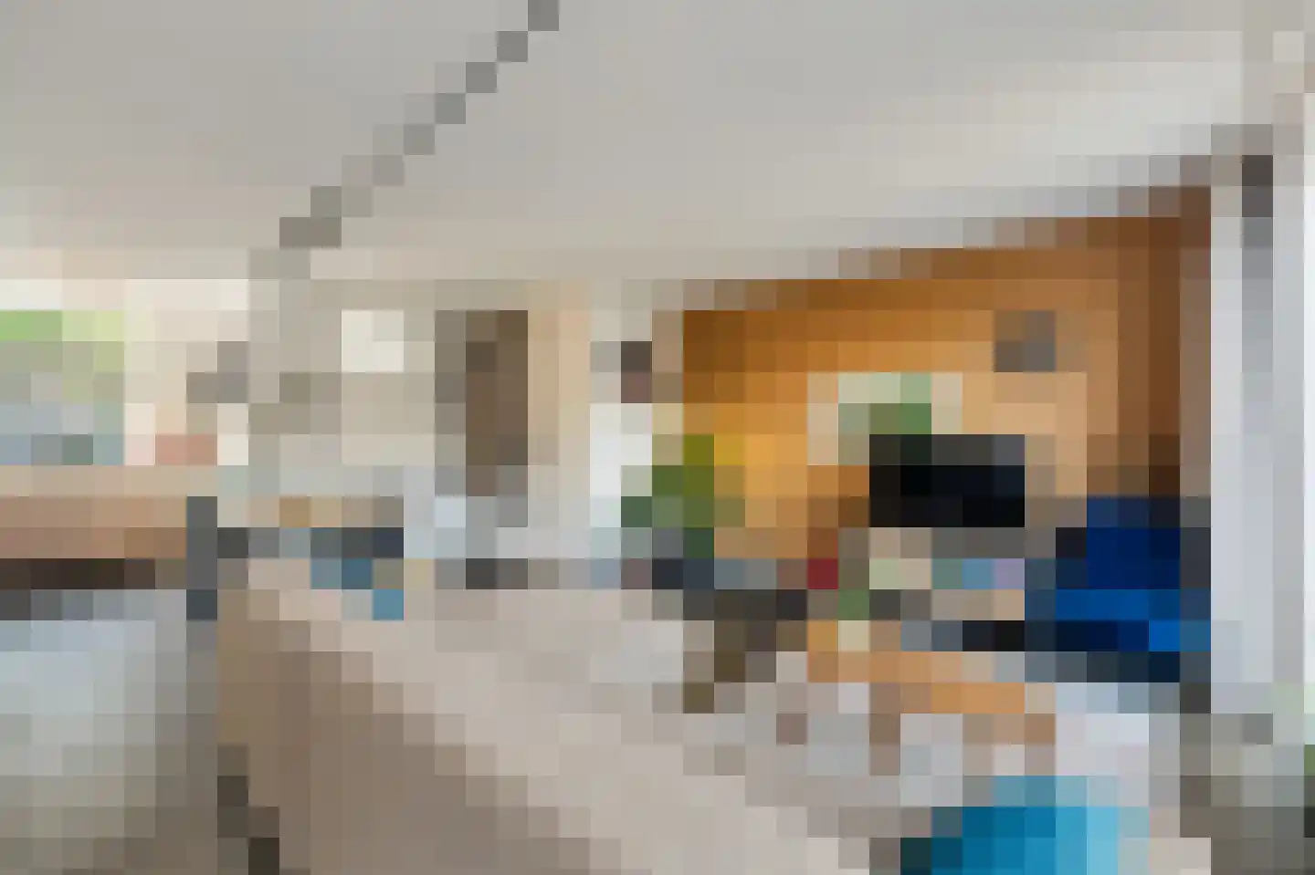 Akelei 53 Kampen thumbnail 5