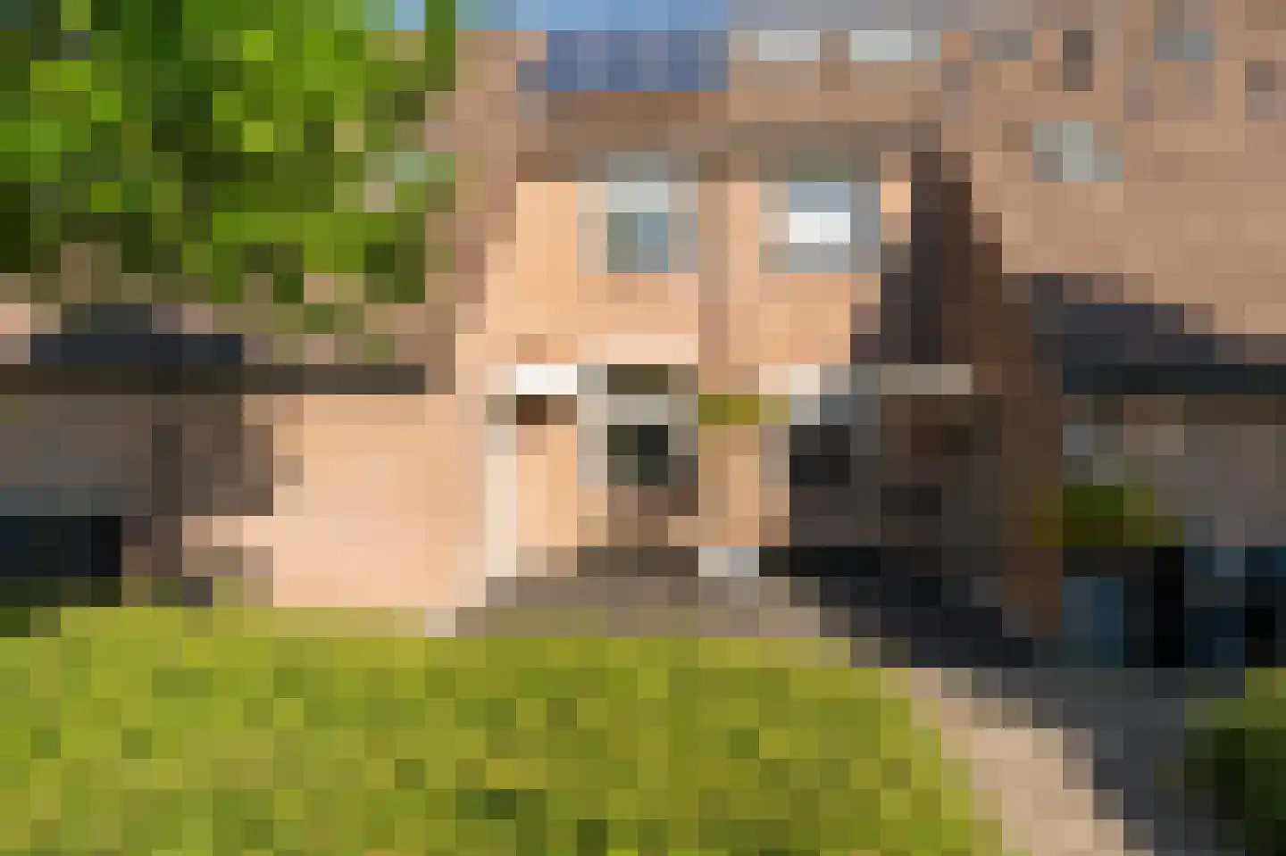 Akelei 53 Kampen thumbnail 6