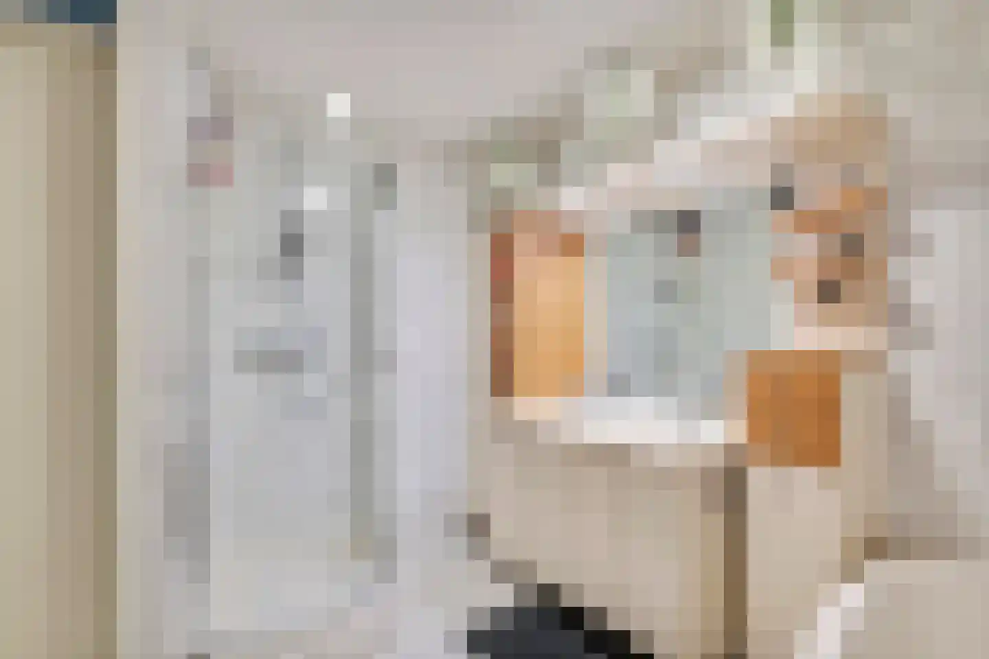 Akelei 6 Tiel thumbnail 30