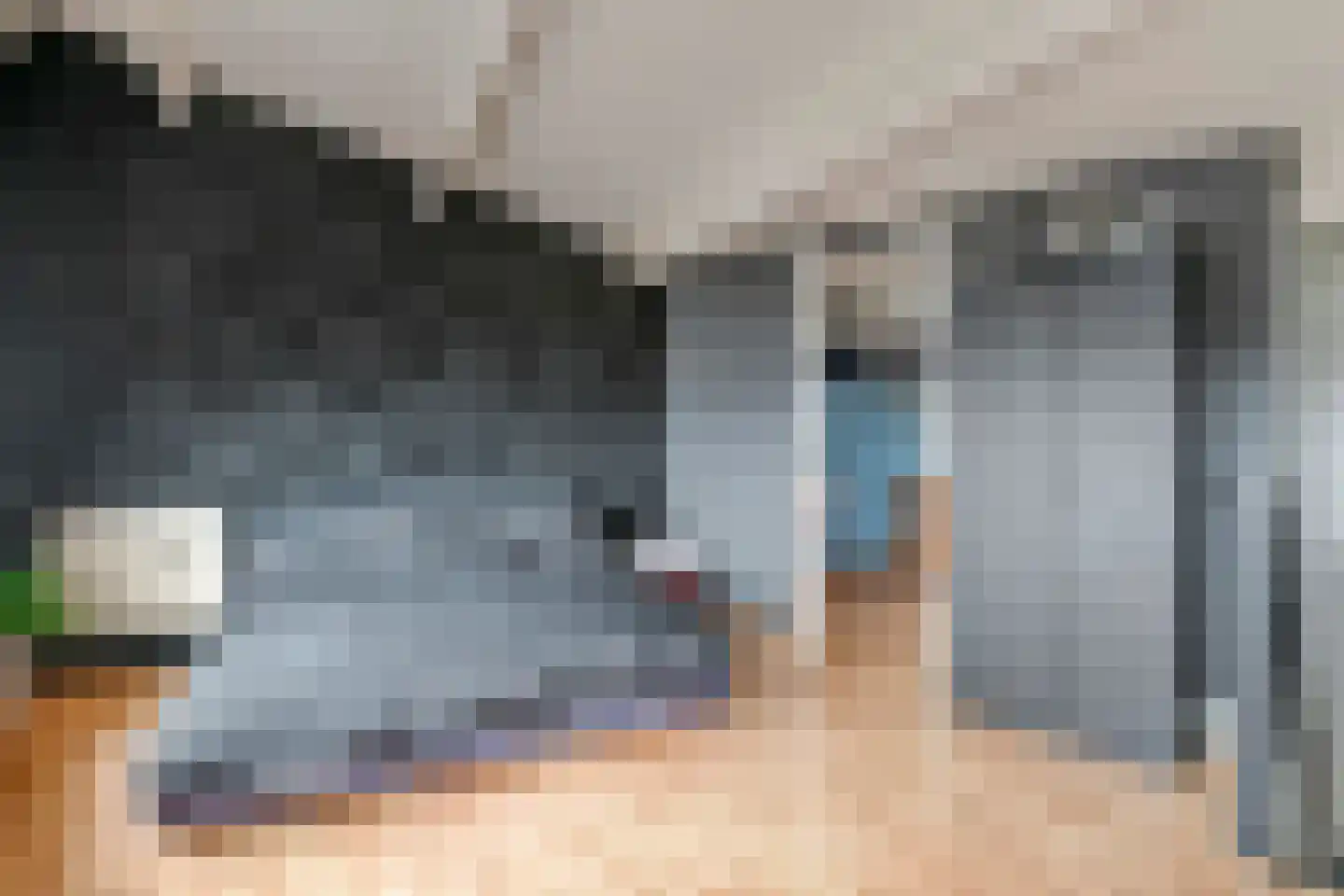 Akelei 6 Tiel thumbnail 46