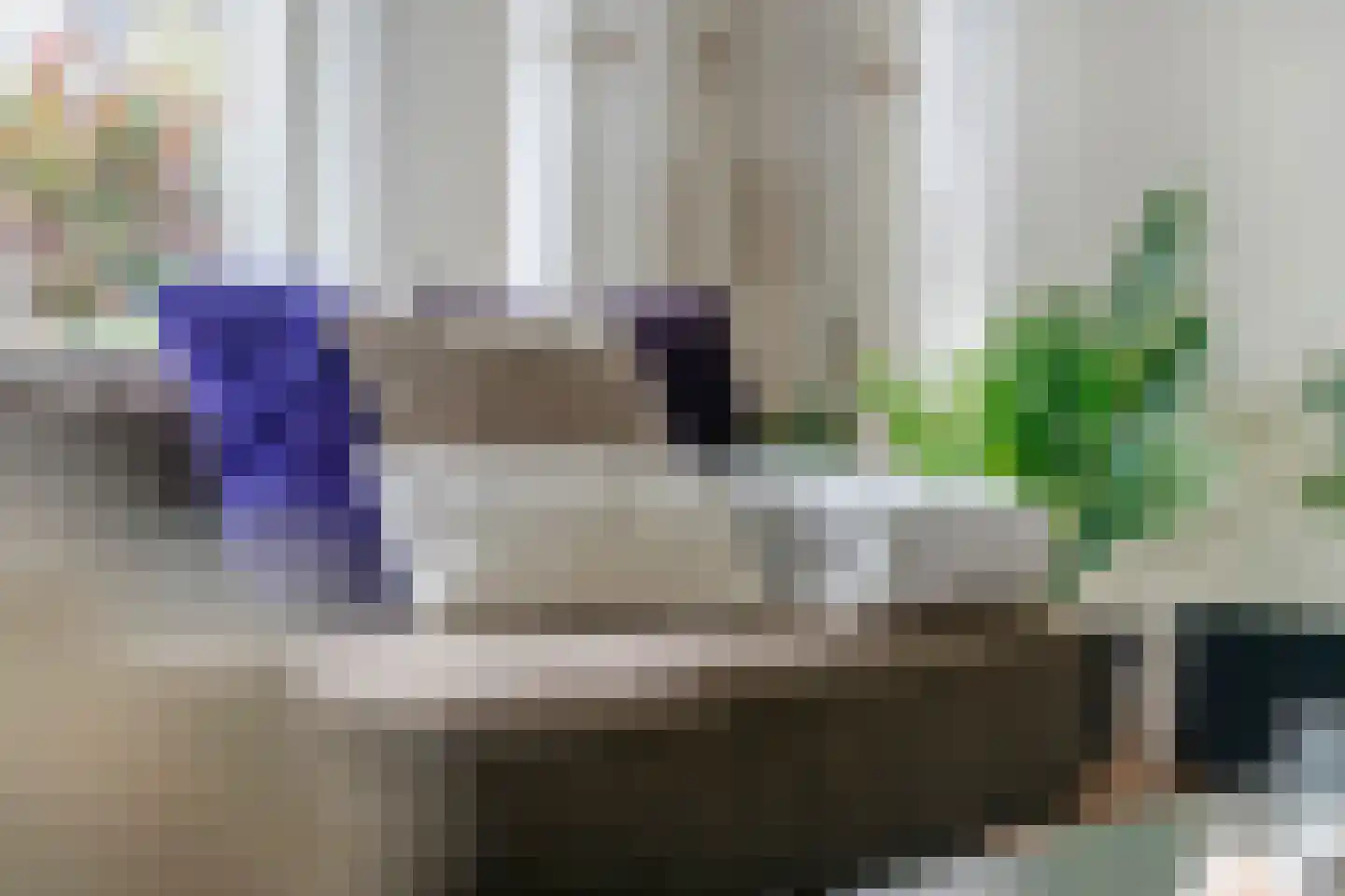 Akelei 6 Tiel thumbnail 5