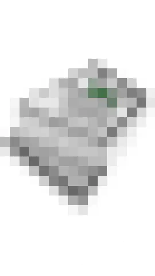Akelei 6 Tiel thumbnail 61