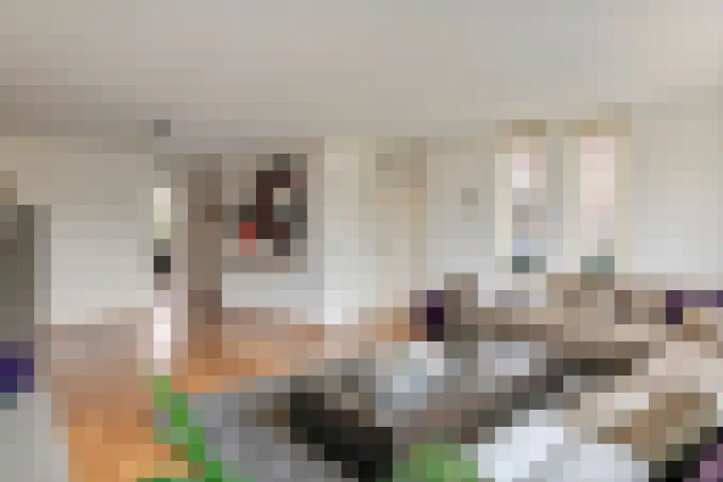 Akelei 6 Tiel thumbnail 7