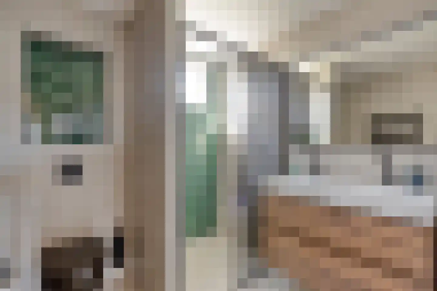Akelei 63 Noordwijkerhout thumbnail 21