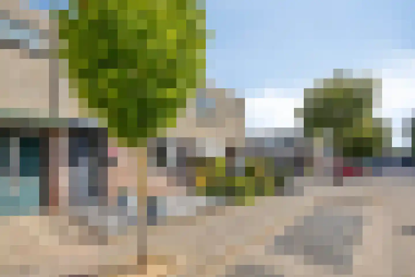 Akelei 63 Noordwijkerhout thumbnail 32