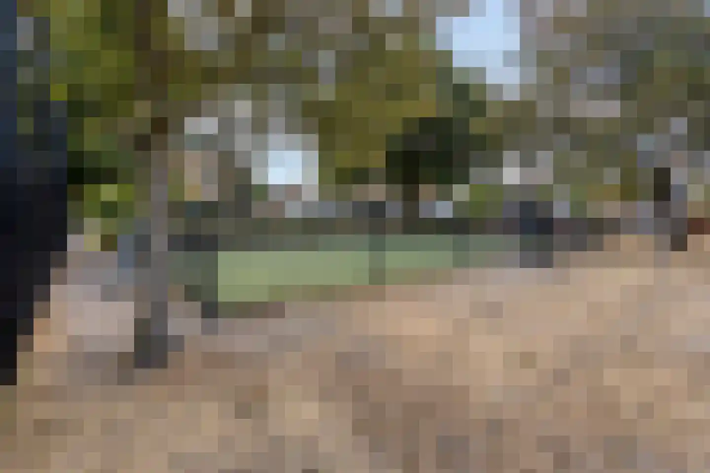 Akelei 63 Noordwijkerhout thumbnail 33