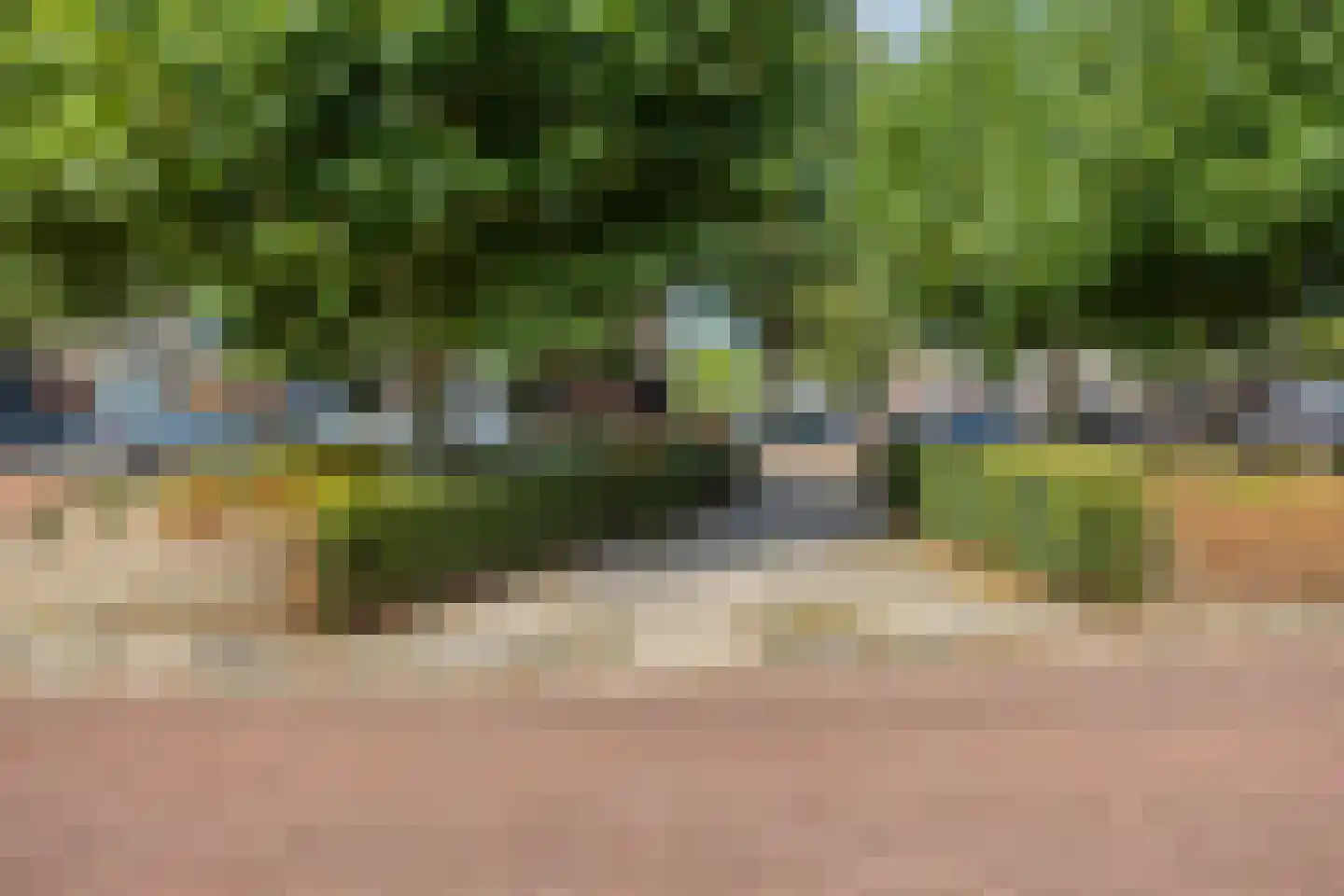 Akelei 63 Noordwijkerhout thumbnail 34