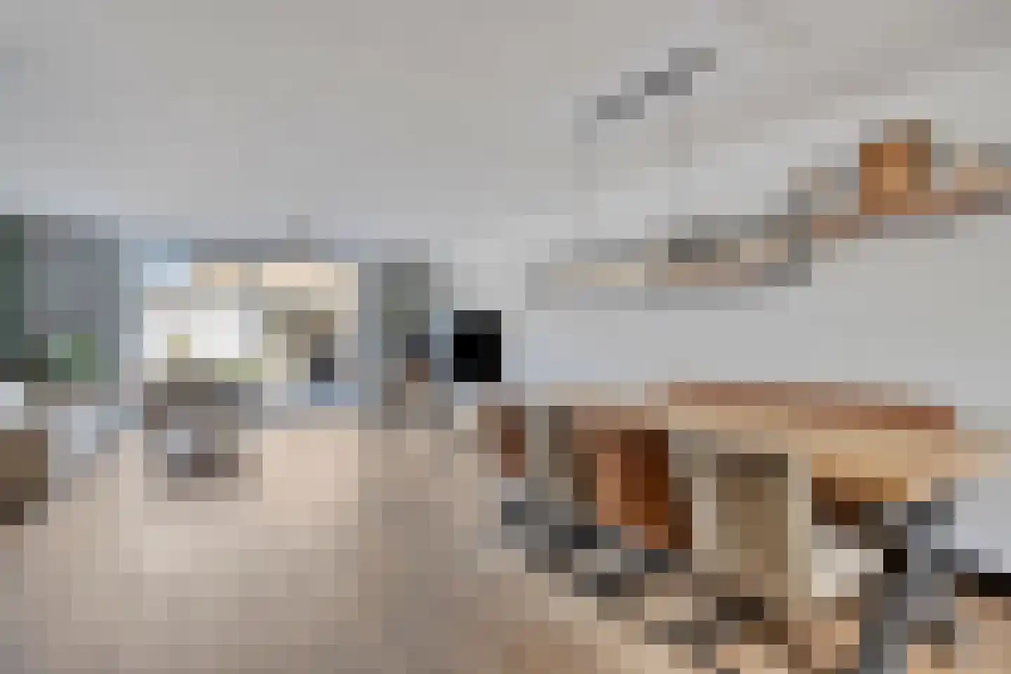 Akelei 63 Noordwijkerhout thumbnail 8