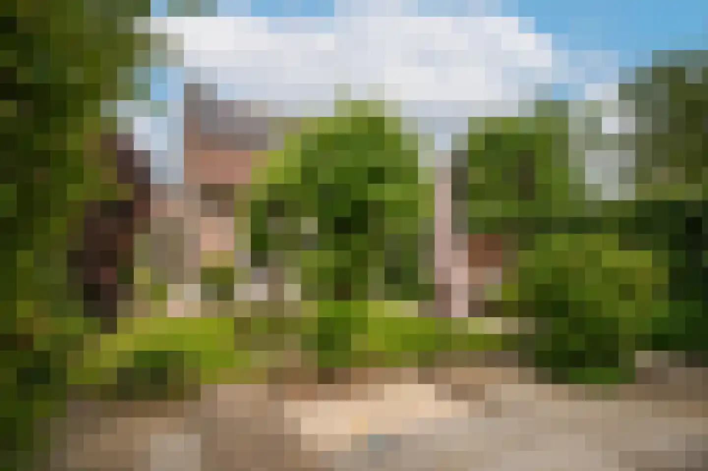 Akelei 64 Culemborg thumbnail 35