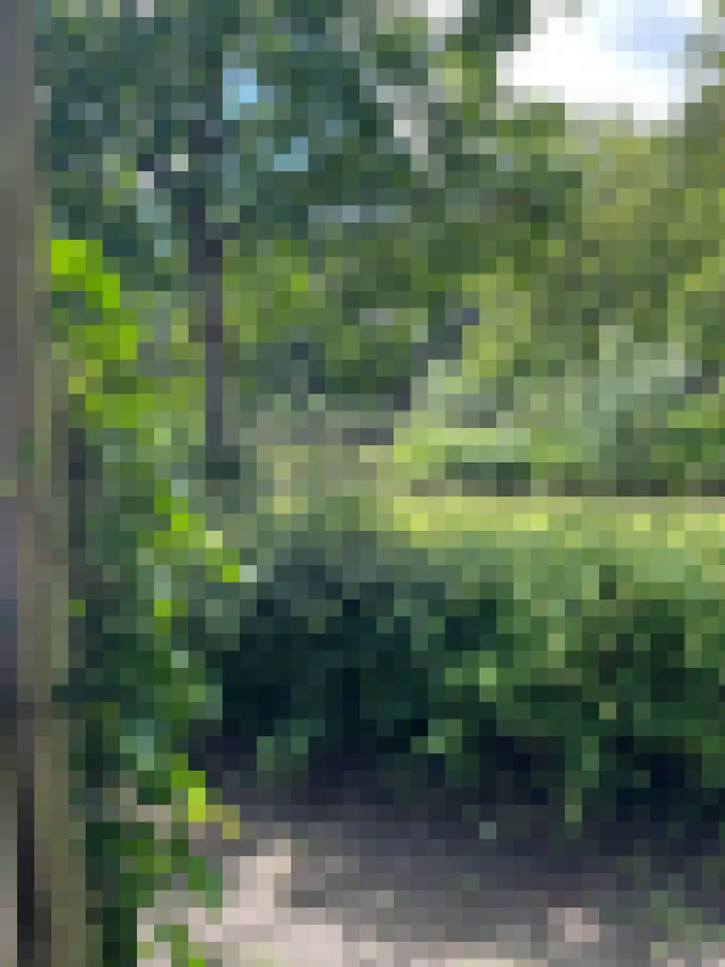 Akelei 64 Culemborg thumbnail 38