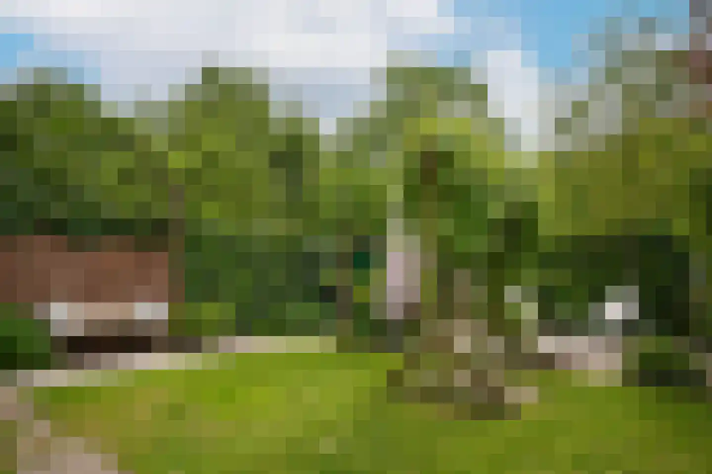 Akelei 64 Culemborg thumbnail 38