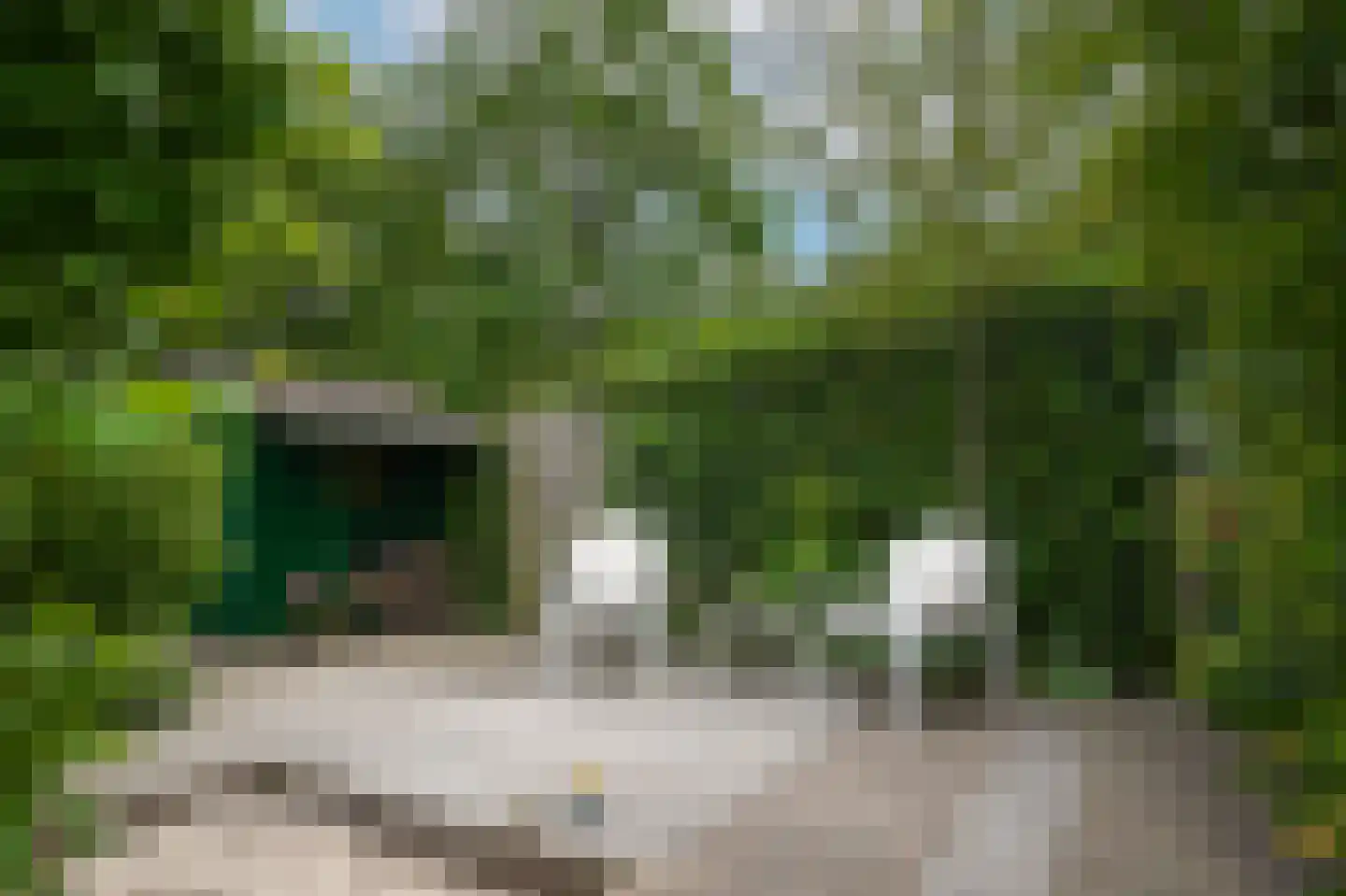 Akelei 64 Culemborg thumbnail 39