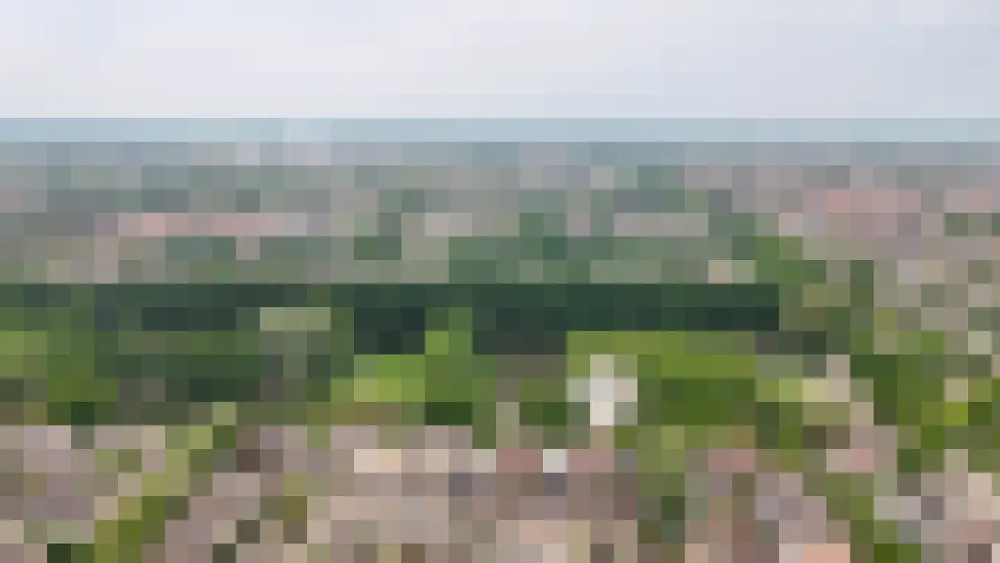 Akelei 64 Culemborg thumbnail 45