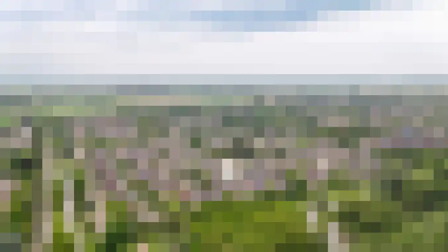 Akelei 64 Culemborg thumbnail 46