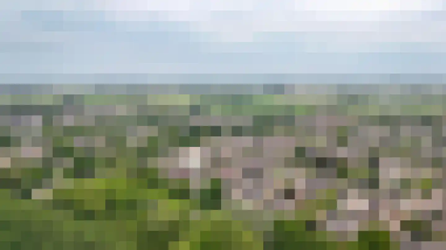 Akelei 64 Culemborg thumbnail 47