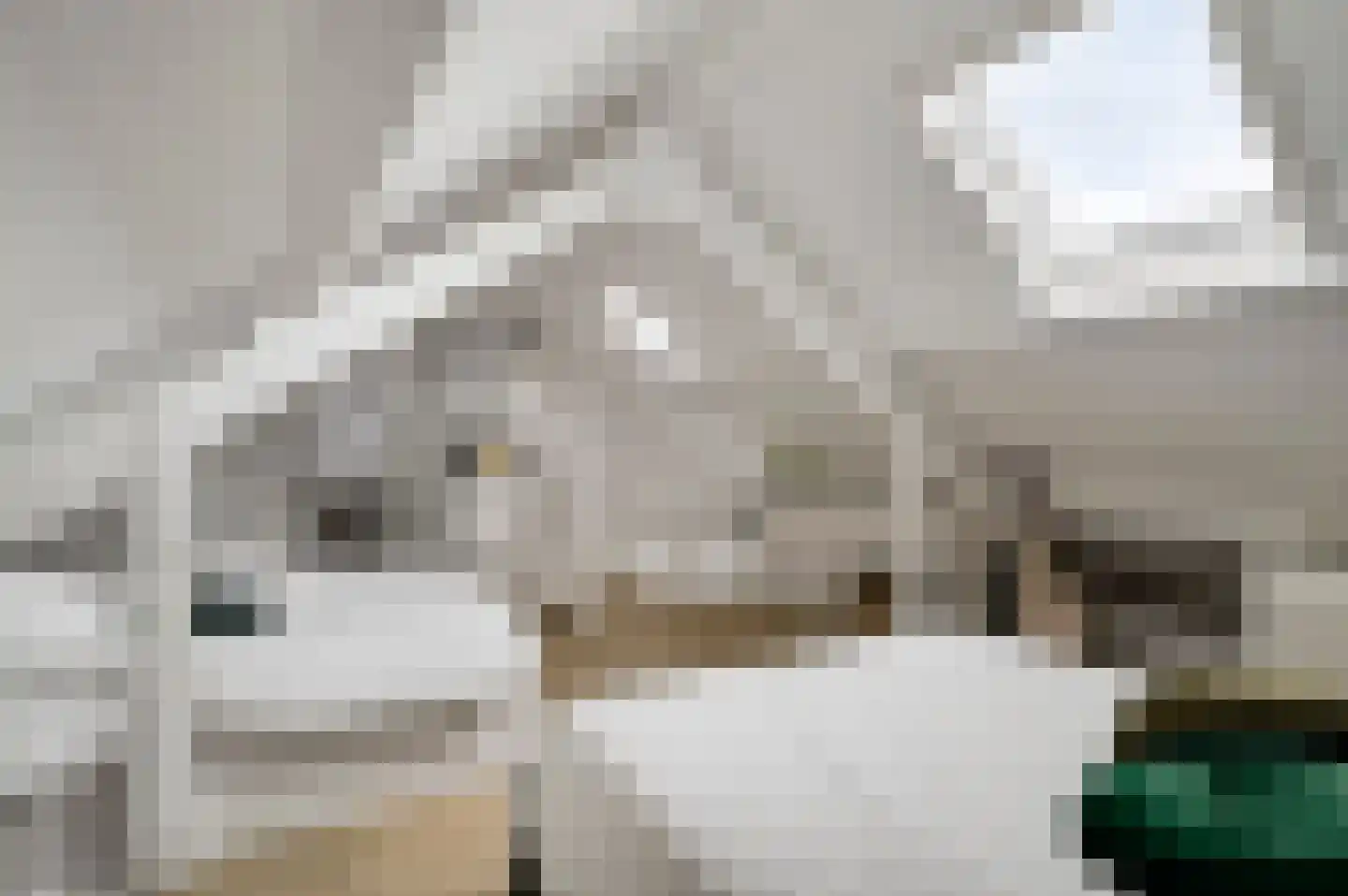 Akelei 86 Venray thumbnail 23
