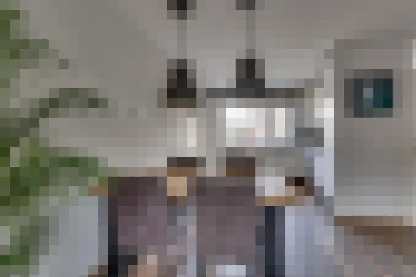 Akelei 87 Kampen thumbnail 15