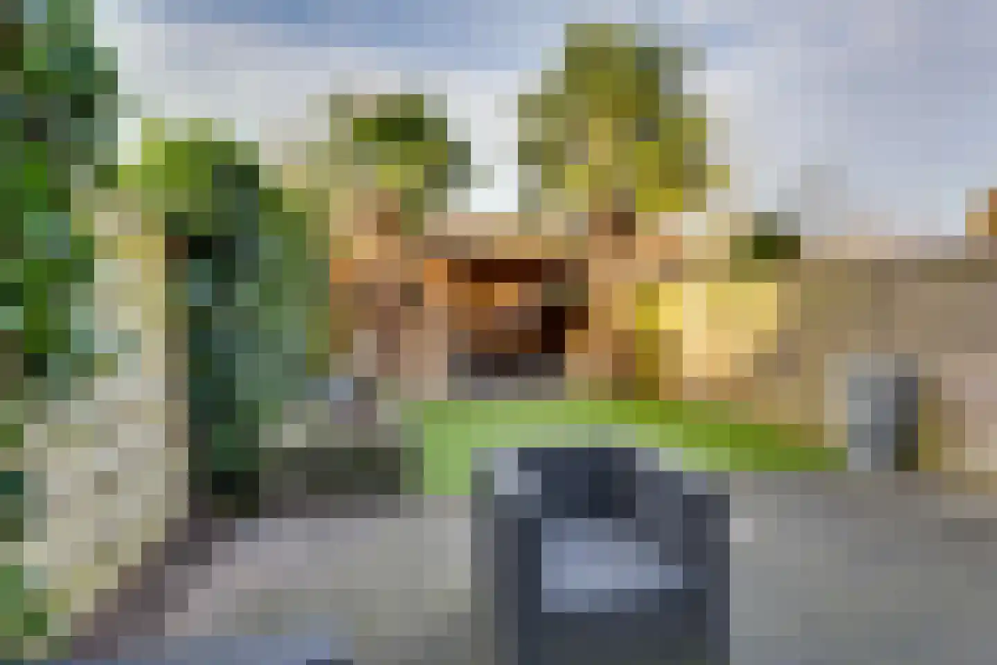 Akelei 87 Kampen thumbnail 20