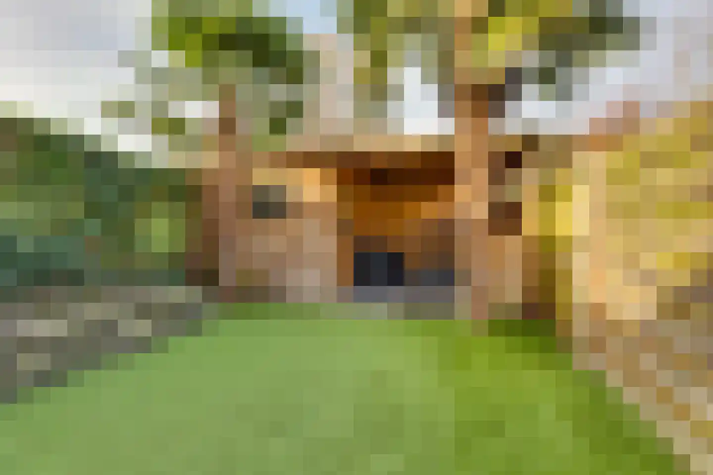 Akelei 87 Kampen thumbnail 21