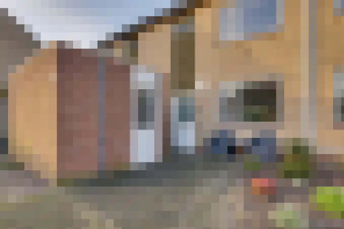 Akelei 87 Kampen thumbnail 7