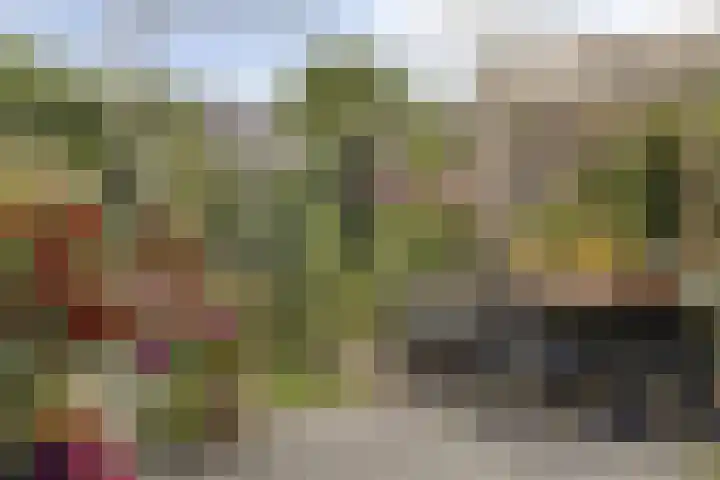 Akelei 93 Kampen thumbnail 40
