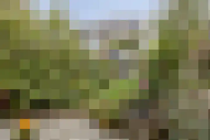Akelei 93 Kampen thumbnail 44