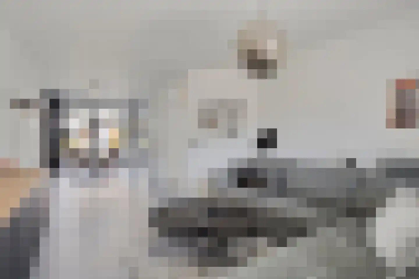 Akeleihof 33 Roermond thumbnail 11