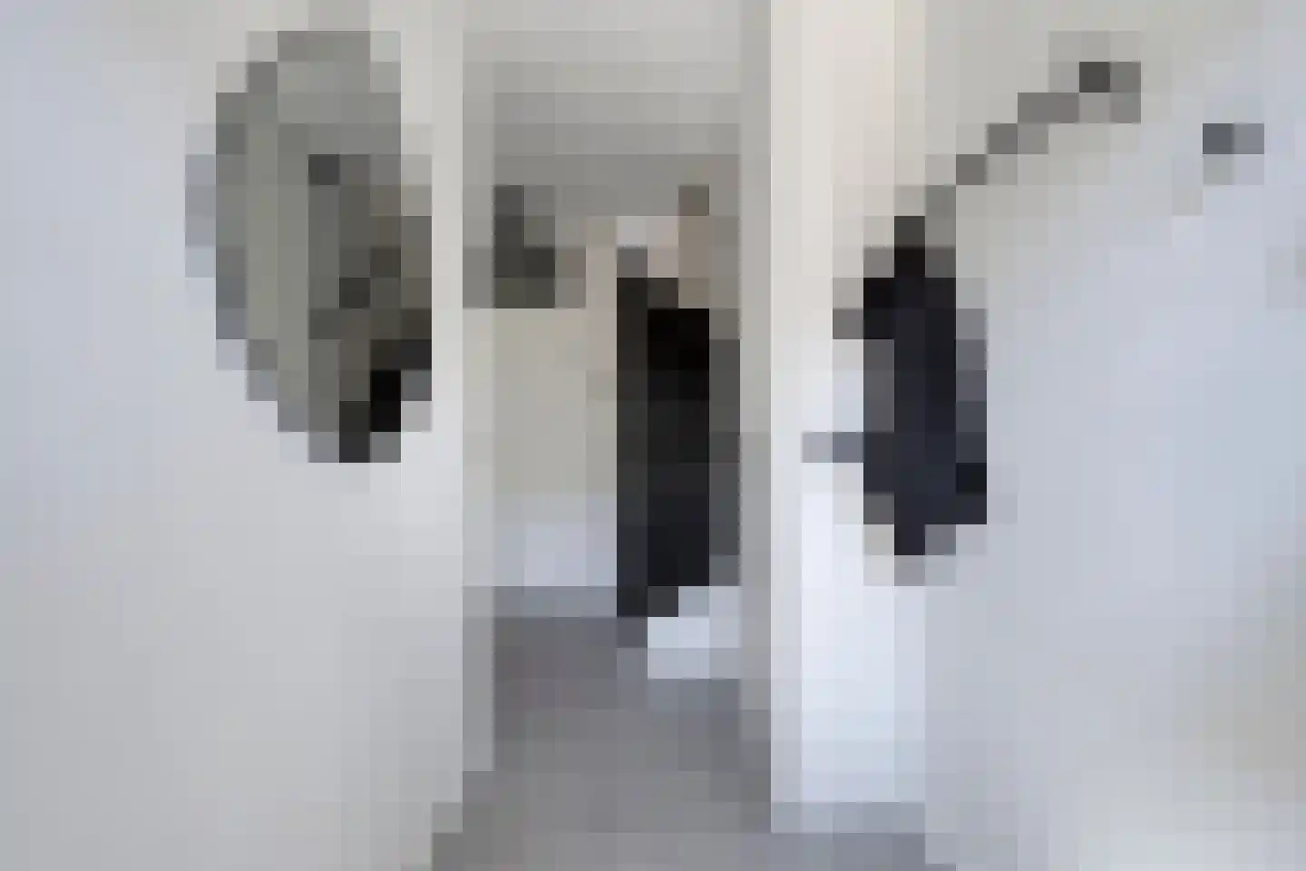 Akeleihof 33 Roermond thumbnail 8