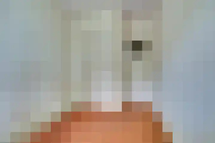 Akeleilaan 1 Oegstgeest thumbnail 22