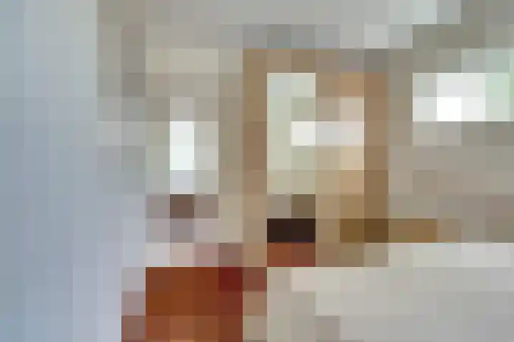 Akeleilaan 1 Oegstgeest thumbnail 24