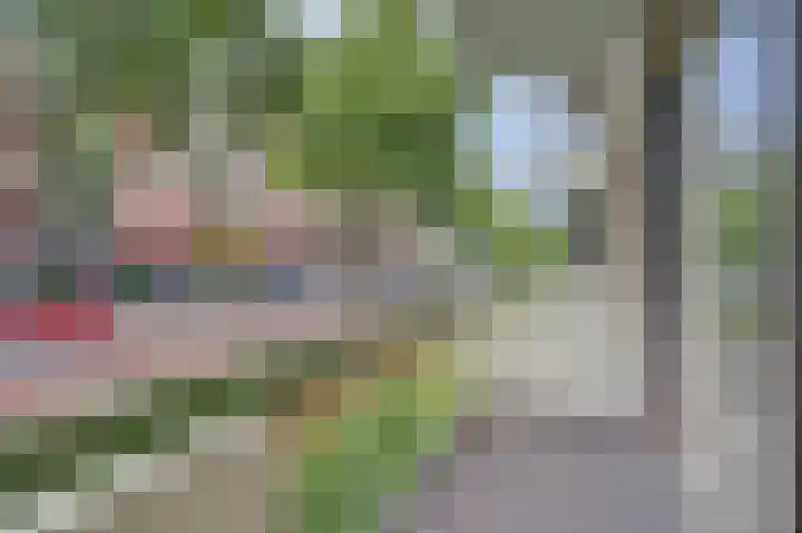 Akeleilaan 1 Oegstgeest thumbnail 27