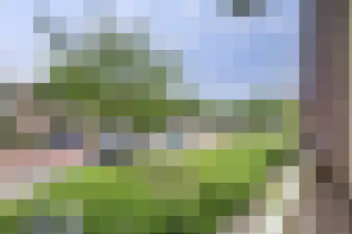Akeleilaan 1 Oegstgeest thumbnail 30