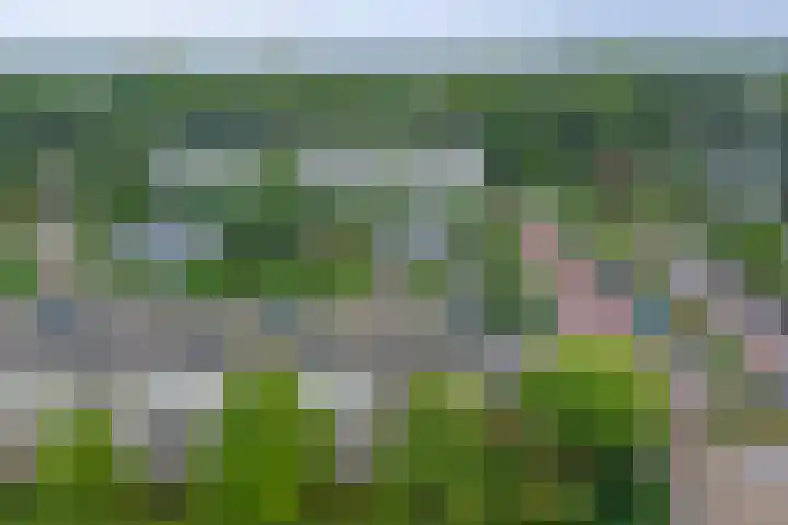 Akeleilaan 1 Oegstgeest thumbnail 32