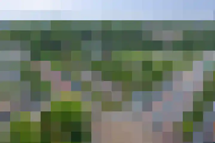 Akeleilaan 1 Oegstgeest thumbnail 34