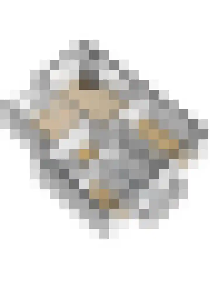 Akeleilaan 1 Oegstgeest thumbnail 38