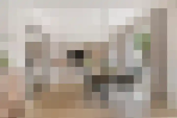 Akeleilaan 10 Valkenswaard thumbnail 12