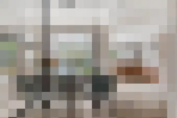 Akeleilaan 10 Valkenswaard thumbnail 14