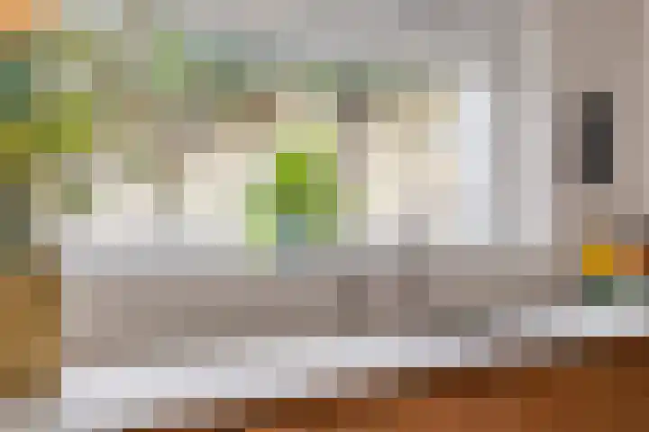 Akeleilaan 10 Valkenswaard thumbnail 19