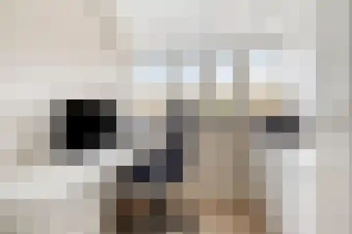 Akeleilaan 10 Valkenswaard thumbnail 30