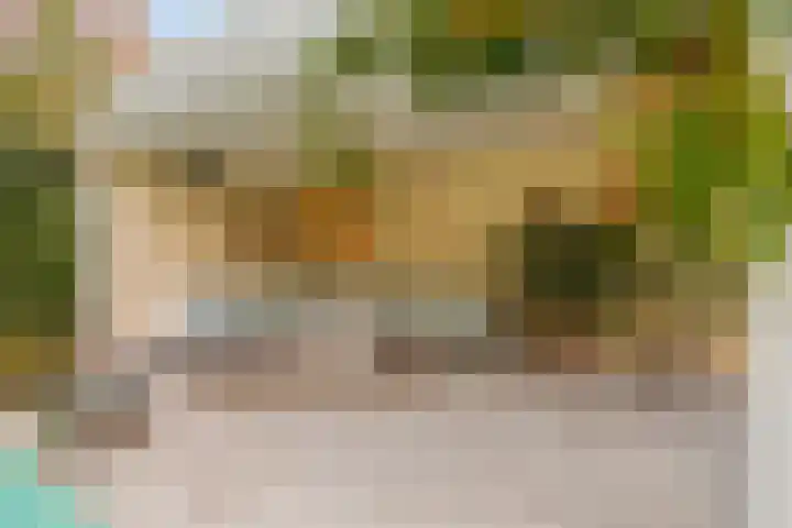 Akeleilaan 10 Valkenswaard thumbnail 36