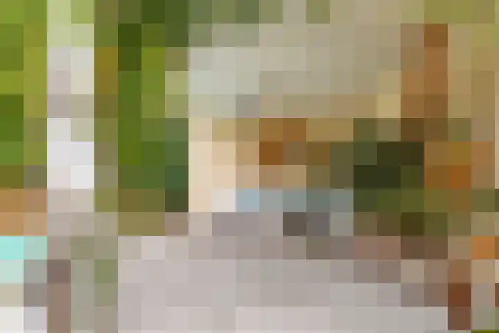 Akeleilaan 10 Valkenswaard thumbnail 37