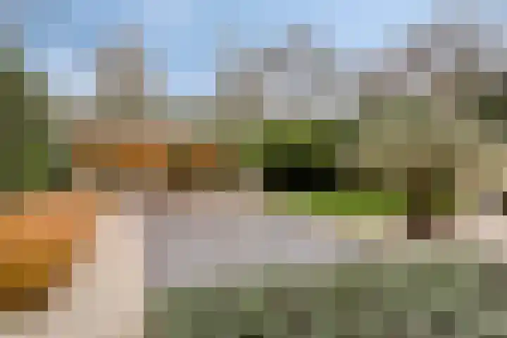 Akeleilaan 10 Valkenswaard thumbnail 41