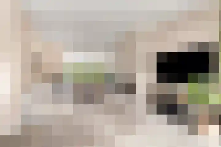 Akeleilaan 10 Valkenswaard thumbnail 9